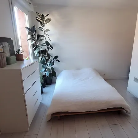 Spacious Nest With 2 Balconies And Park View 公寓 圣但尼